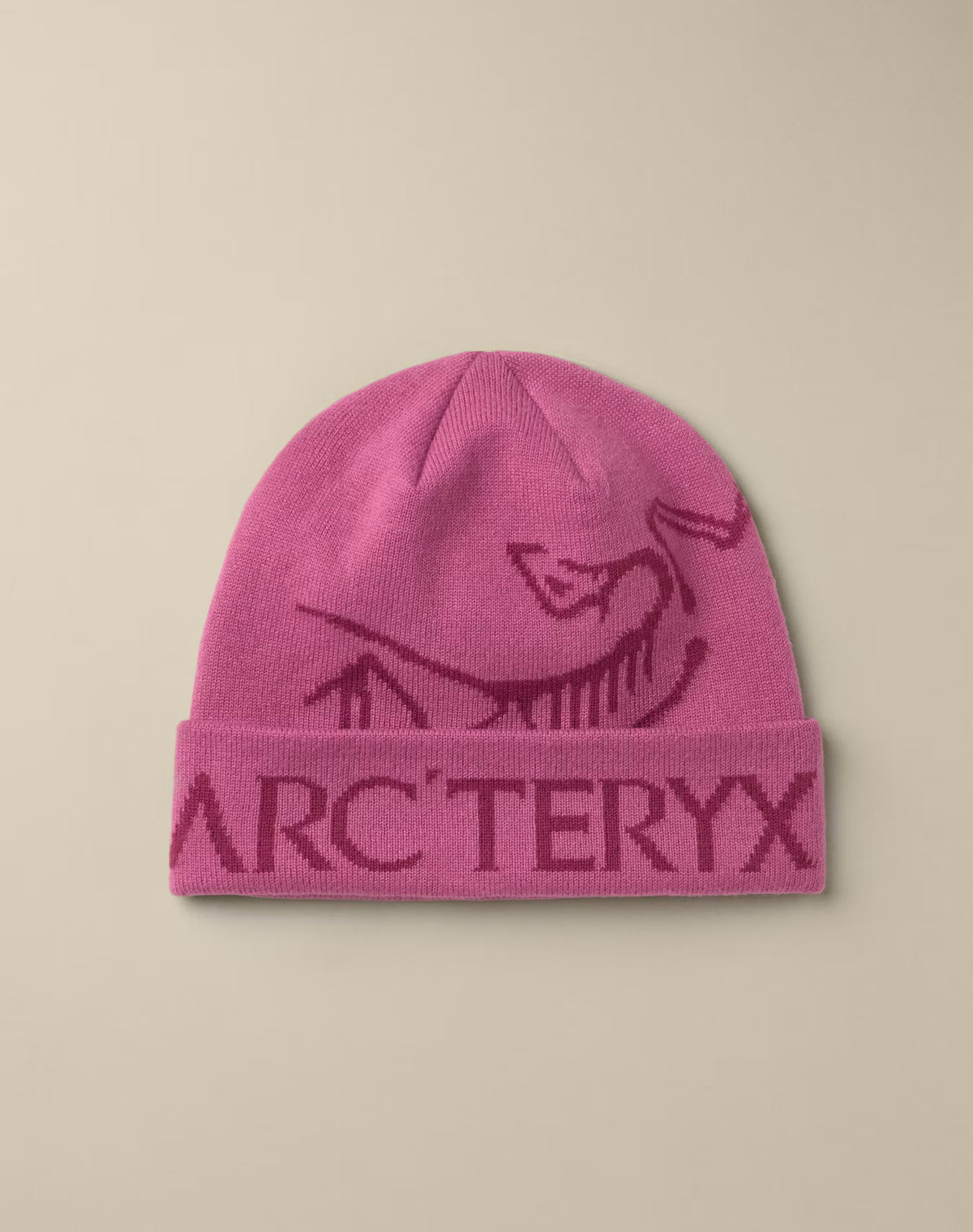 Arc'teryx 'Bird Word Toque' Beanie